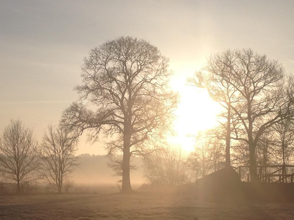 Gasterij Landschot Bed & Breakfast Hoogeloon Luaran gambar