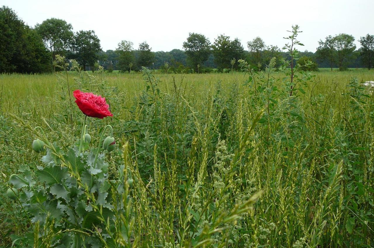 Gasterij Landschot Bed & Breakfast Hoogeloon Luaran gambar